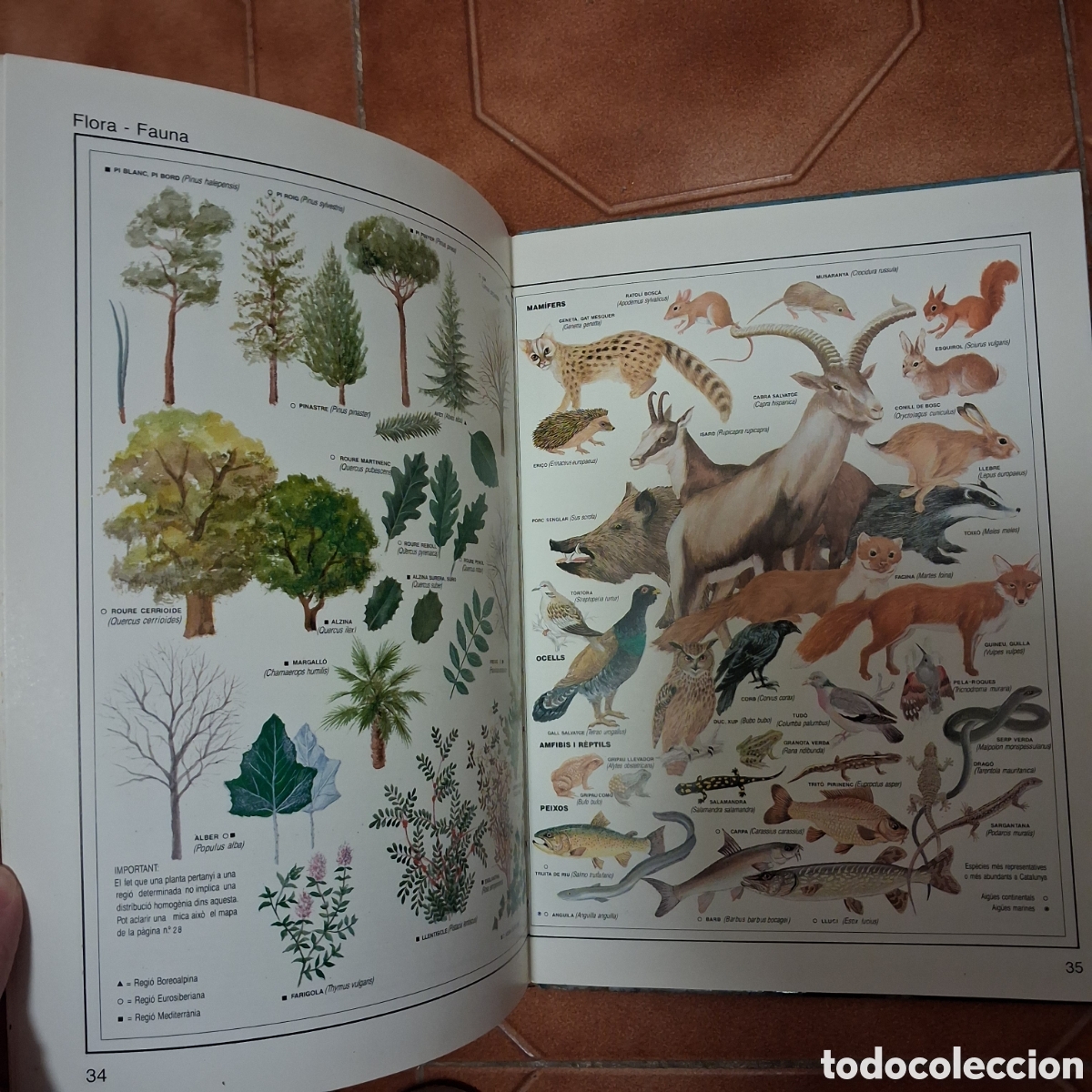 Libros de segunda mano: Nou atlas de Catalunya IBIS 1997 - Foto 4