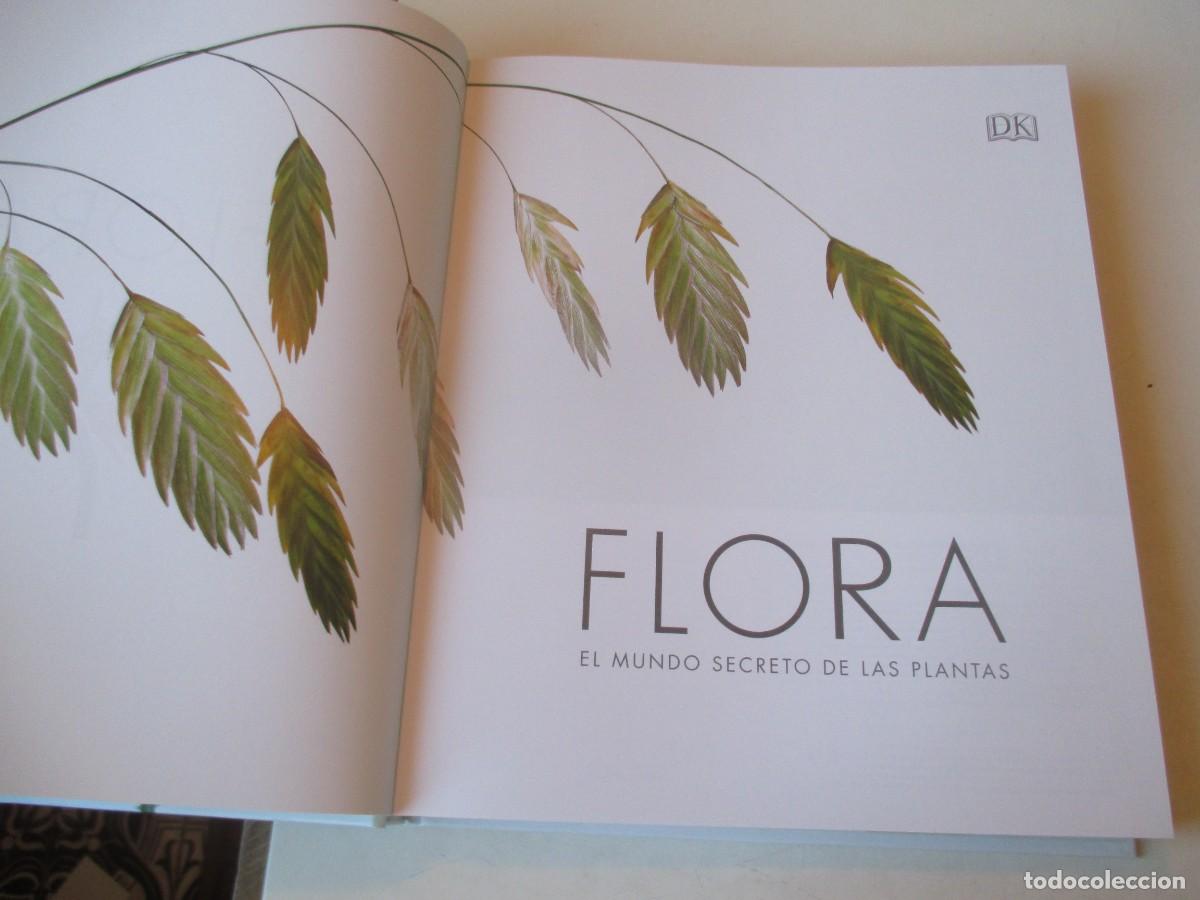 Libros de segunda mano: FLORA El mundo de las plantas W42004 - Foto 2