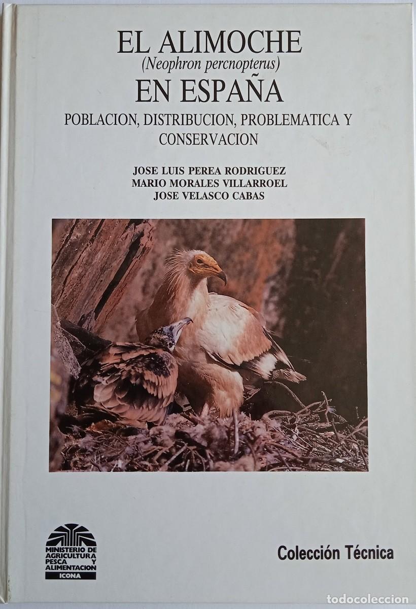 Second hand books: El alimoche (Neophron percnopterus) en Espa&ntilde;a. Poblaci&oacute;n, distribuci&oacute;n, problem&aacute;tica y conservaci&oacute;n.