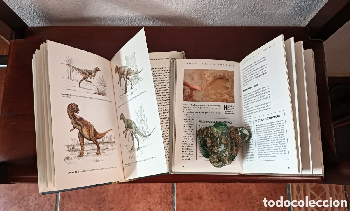 Libros de segunda mano: La verdadera historia de los dinosaurios ... - Foto 2