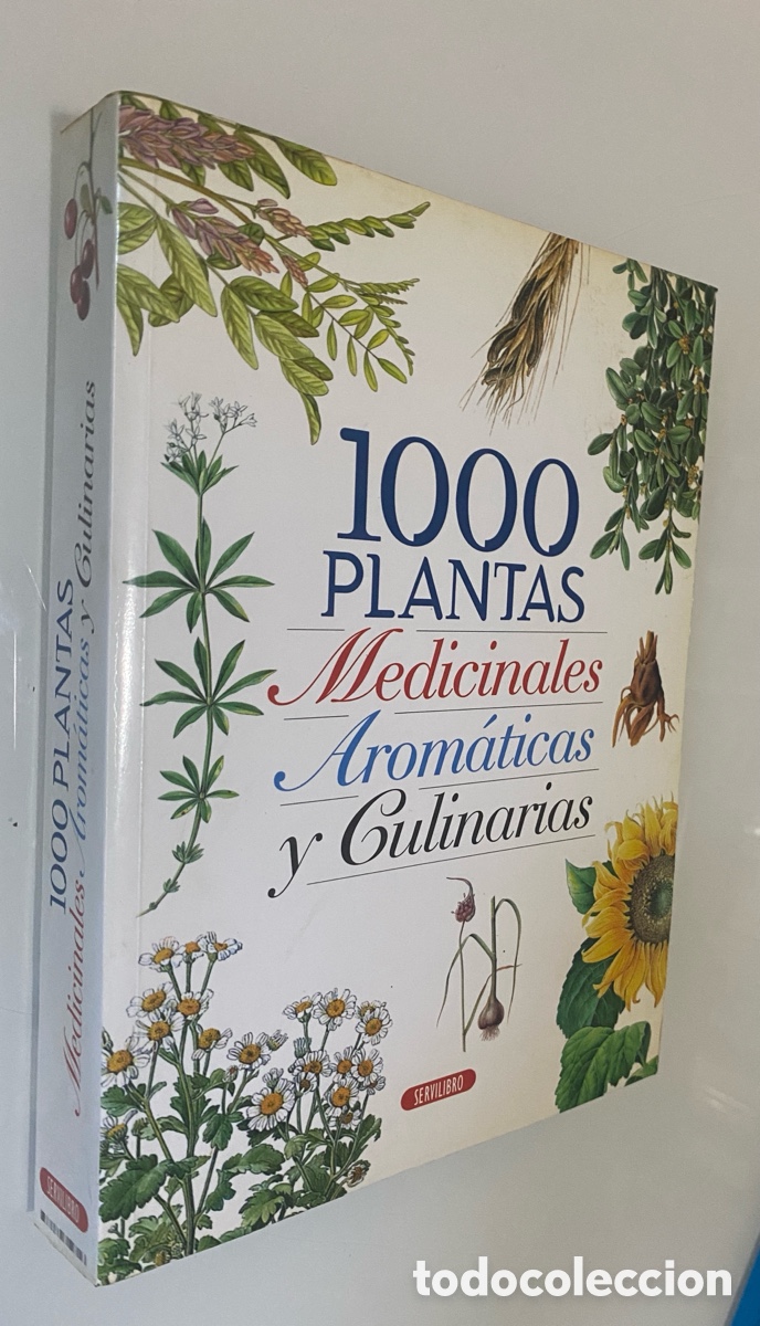 Libros de segunda mano: 1000 Plantas Medicinales Arom&aacute;ticas y Culinarias - VV.AA.