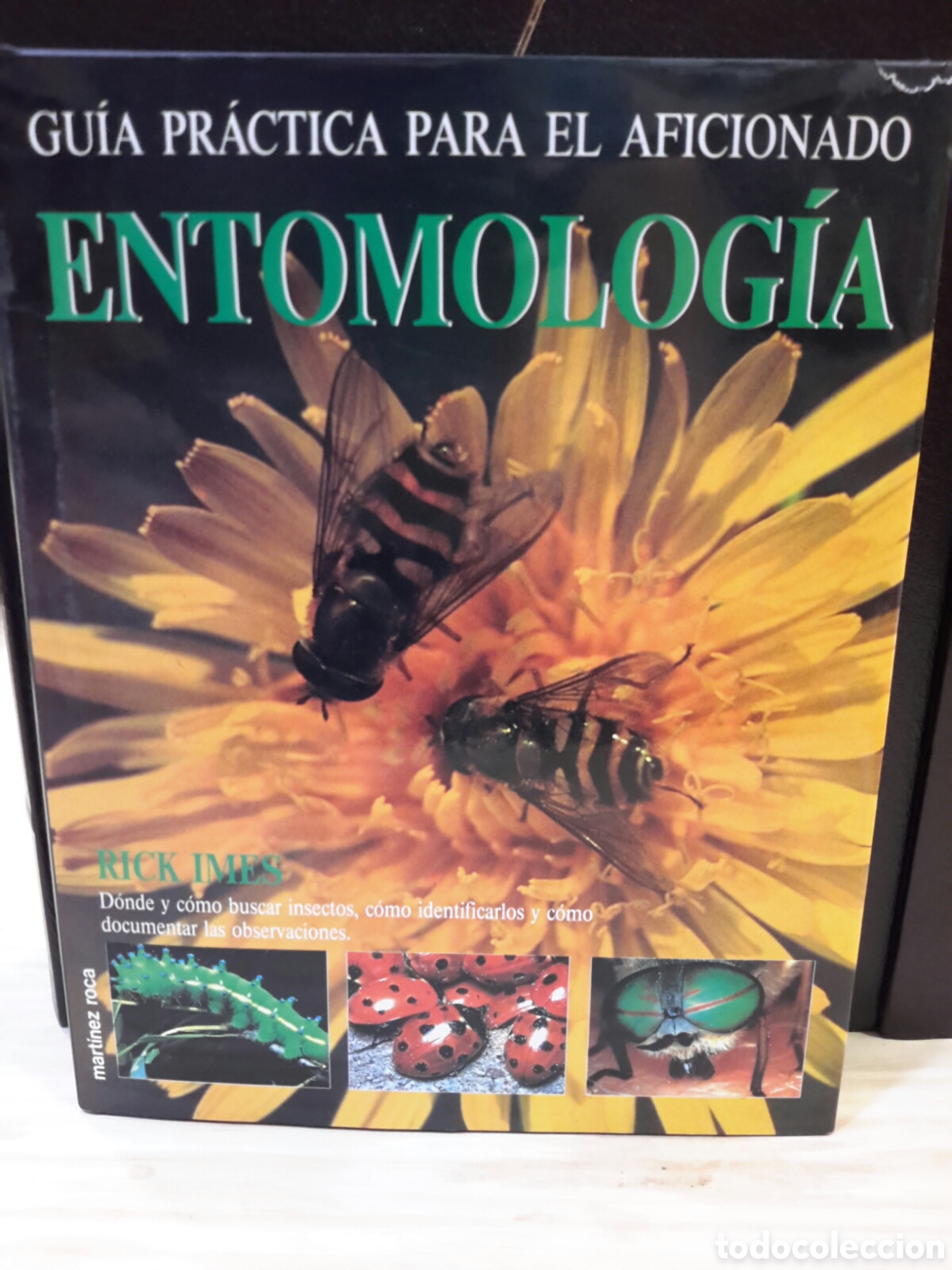 Livres d'occasion: Rick Imes. Entomolog&iacute;a. Gu&iacute;a pr&aacute;ctica para el aficionado