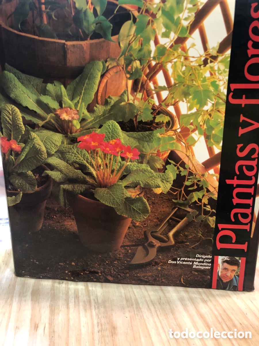 Second hand books: Vicente Mundina Balaguer (Dir.) Plantas y flores