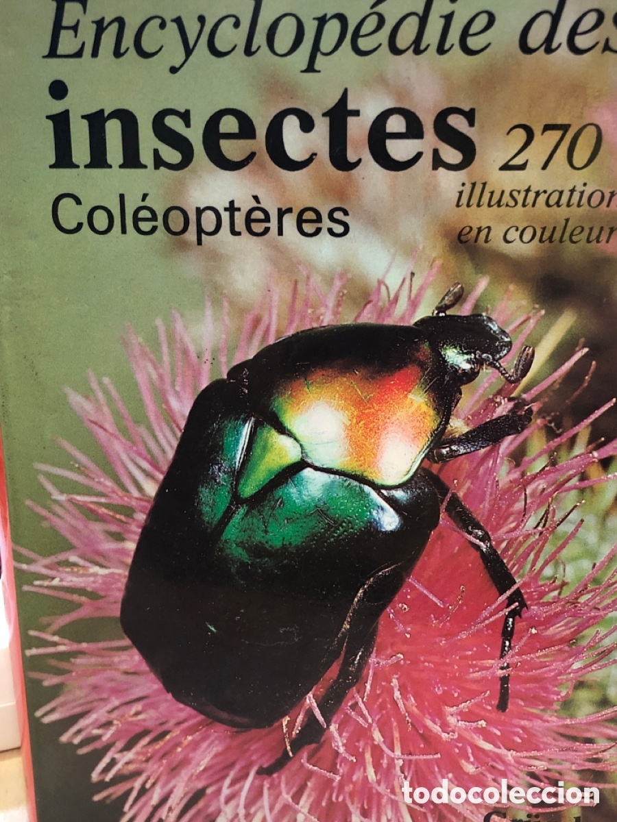 Second hand books: Encyclop&eacute;die des insectes. Col&eacute;opt&egrave;res