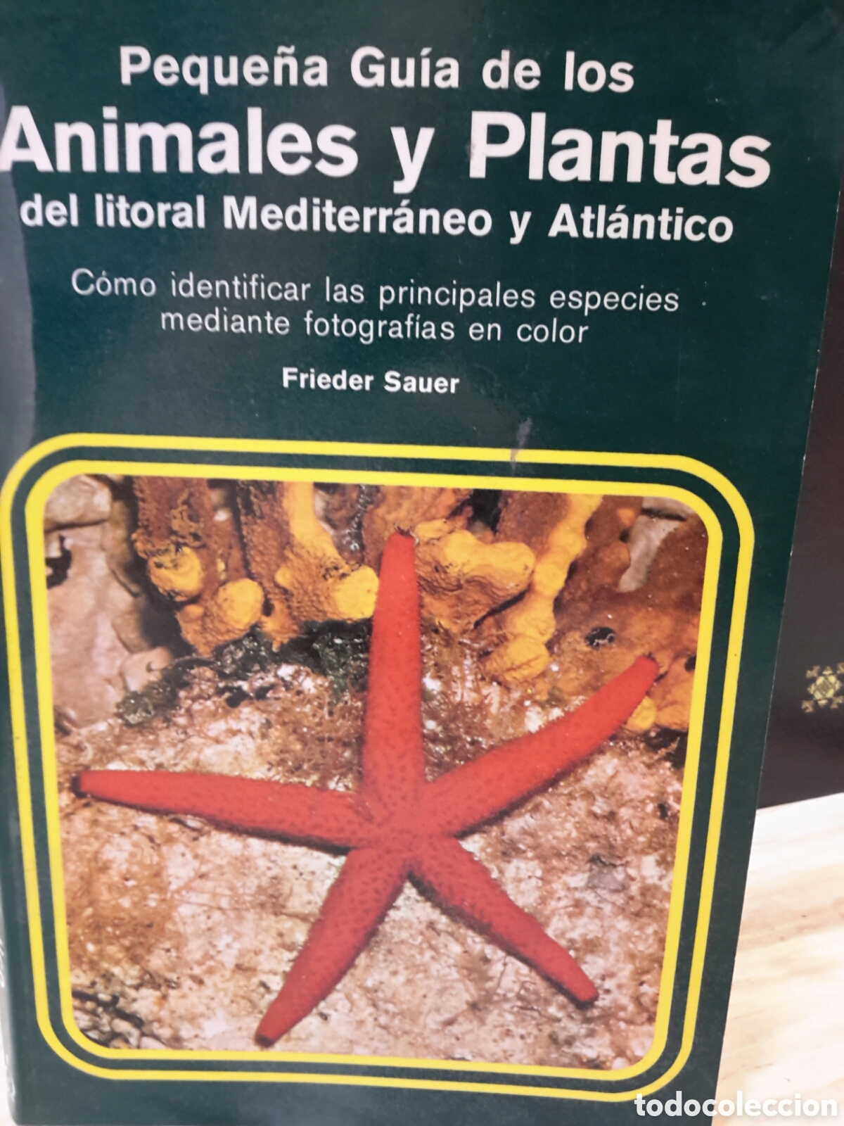 Second hand books: Frieder Sauer. Peque&ntilde;a Gu&iacute;a de los Animales y Plantas del litoral Mediterr&aacute;neo y Atl&aacute;ntico