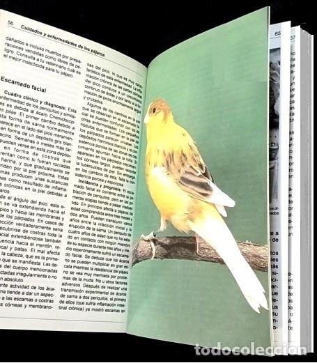 Libros de segunda mano: AVES. CUIDADOS Y ENFERMEDADES DE LOS PAJAROS. JOHN SMITH. - Foto 2