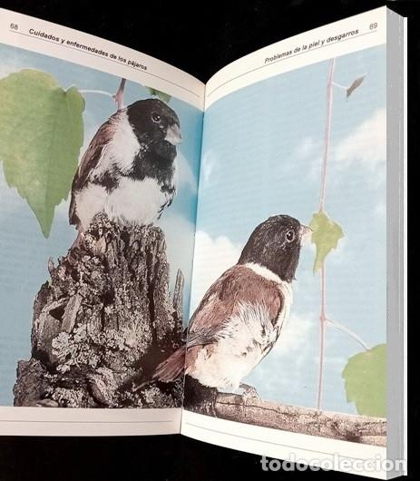 Libros de segunda mano: AVES. CUIDADOS Y ENFERMEDADES DE LOS PAJAROS. JOHN SMITH. - Foto 3