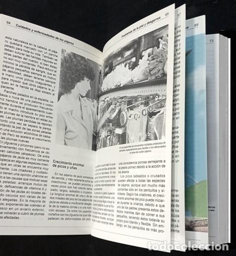 Libros de segunda mano: AVES. CUIDADOS Y ENFERMEDADES DE LOS PAJAROS. JOHN SMITH. - Foto 4