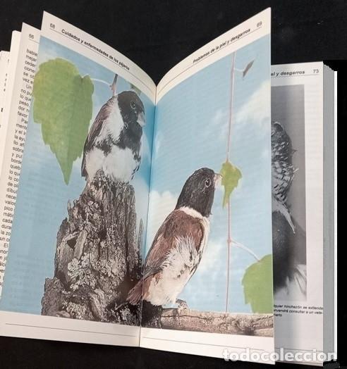Libros de segunda mano: AVES. CUIDADOS Y ENFERMEDADES DE LOS PAJAROS. JOHN SMITH. - Foto 5