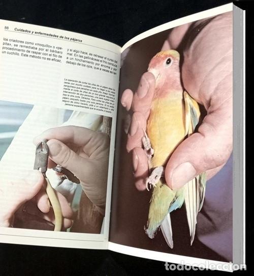 Libros de segunda mano: AVES. CUIDADOS Y ENFERMEDADES DE LOS PAJAROS. JOHN SMITH. - Foto 6