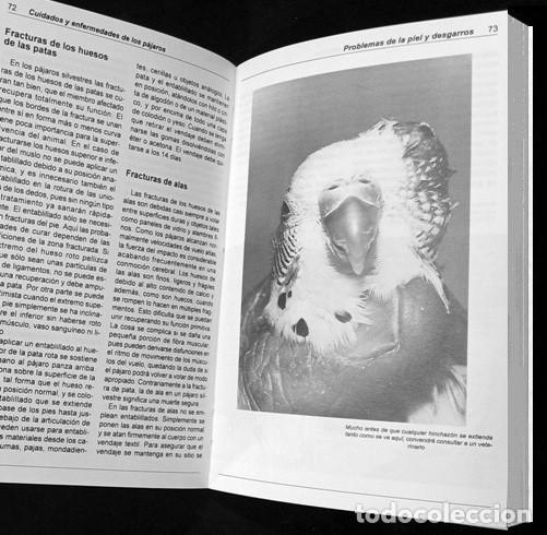 Libros de segunda mano: AVES. CUIDADOS Y ENFERMEDADES DE LOS PAJAROS. JOHN SMITH. - Foto 7