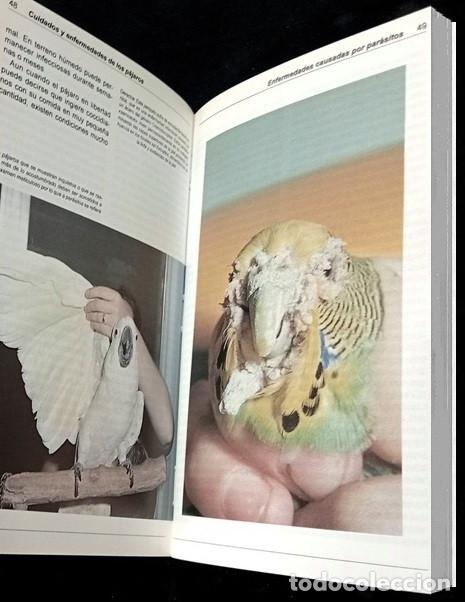 Libros de segunda mano: AVES. CUIDADOS Y ENFERMEDADES DE LOS PAJAROS. JOHN SMITH. - Foto 8