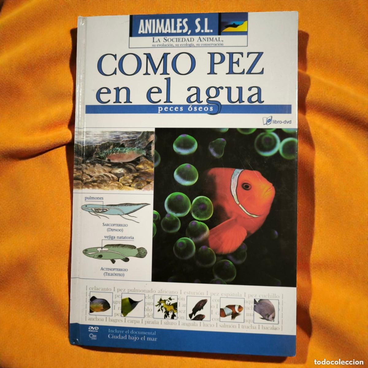 Second hand books: Como Pez En El Agua Peces &Oacute;seos &ndash; Libro Animales S.L. - Con DVD Documental &rdquo;Abismo&rdquo;
