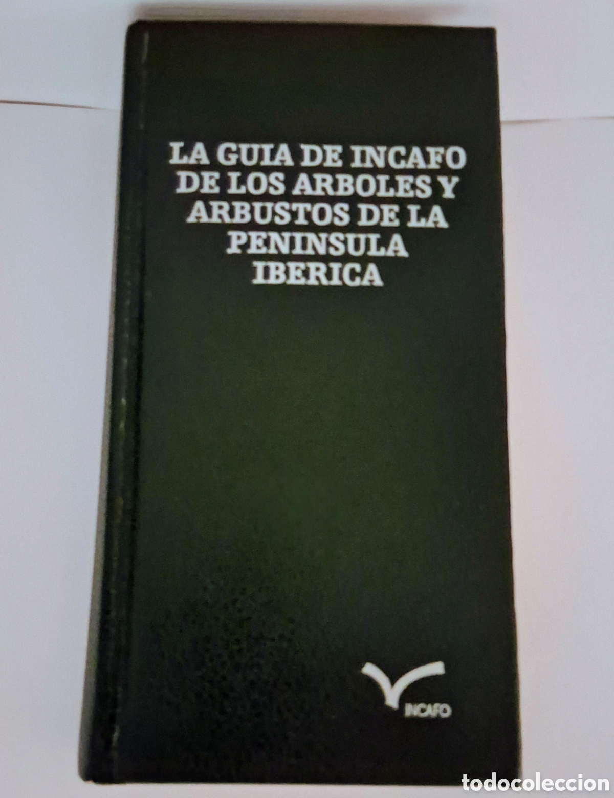 Libros de segunda mano: La Gu&iacute;a de INCAFO de los &Aacute;rboles y Arbustos de la Pen&iacute;nsula Ib&eacute;rica - Gin&eacute;s L&oacute;pez Gonz&aacute;lez