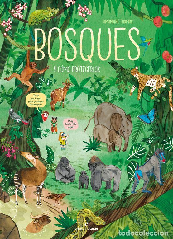Libros de segunda mano: Bosques... y c&oacute;mo protegerlos. - Thomas, Amandine.