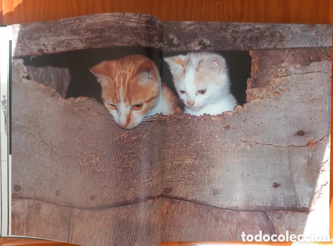 Libros de segunda mano: Enciclopedia del gato, 6 volumenes - Foto 2