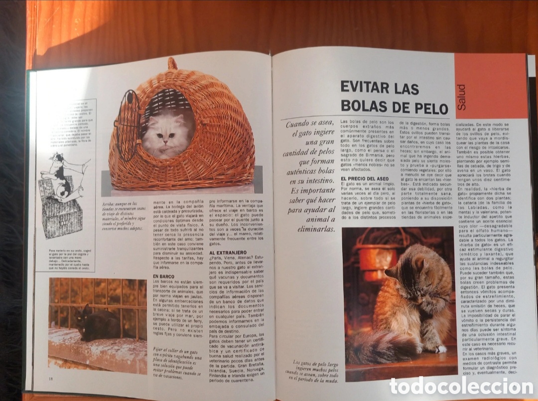 Libros de segunda mano: Enciclopedia del gato, 6 volumenes - Foto 3