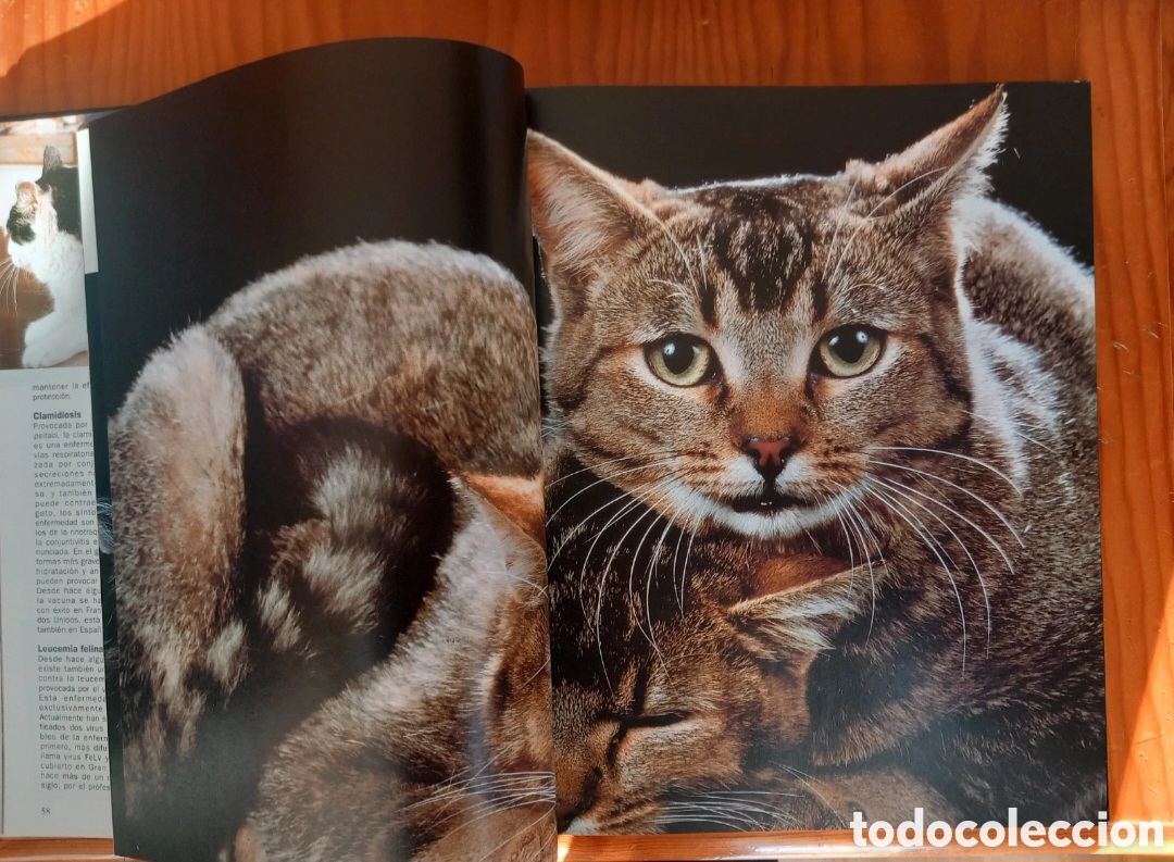 Libros de segunda mano: Enciclopedia del gato, 6 volumenes - Foto 4