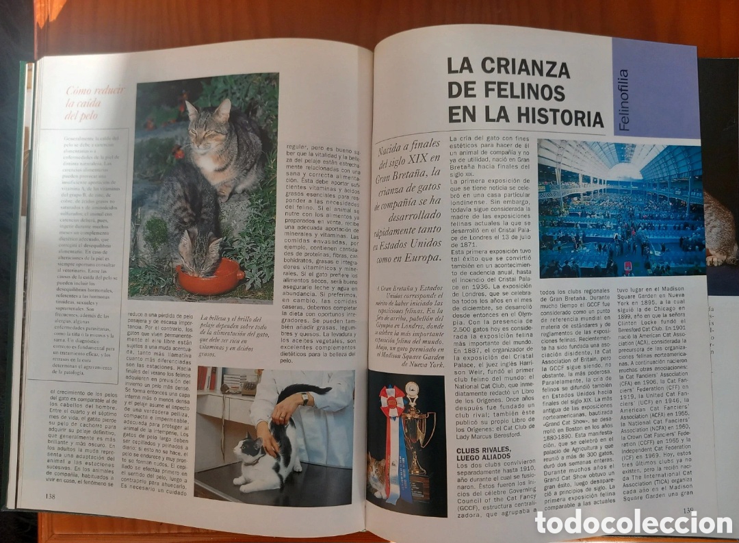 Libros de segunda mano: Enciclopedia del gato, 6 volumenes - Foto 5