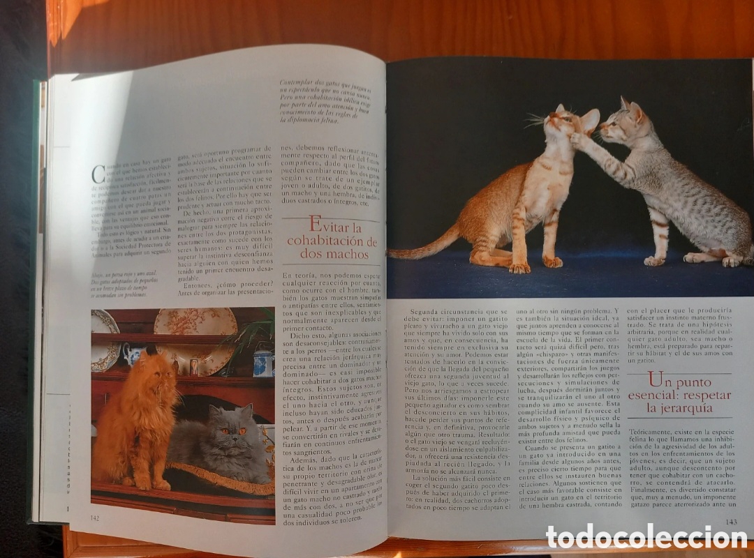 Libros de segunda mano: Enciclopedia del gato, 6 volumenes - Foto 6