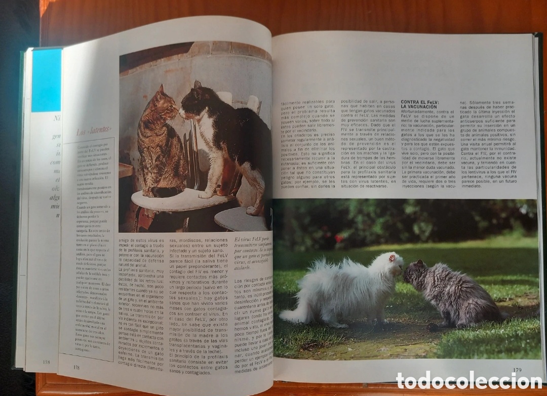 Libros de segunda mano: Enciclopedia del gato, 6 volumenes - Foto 7