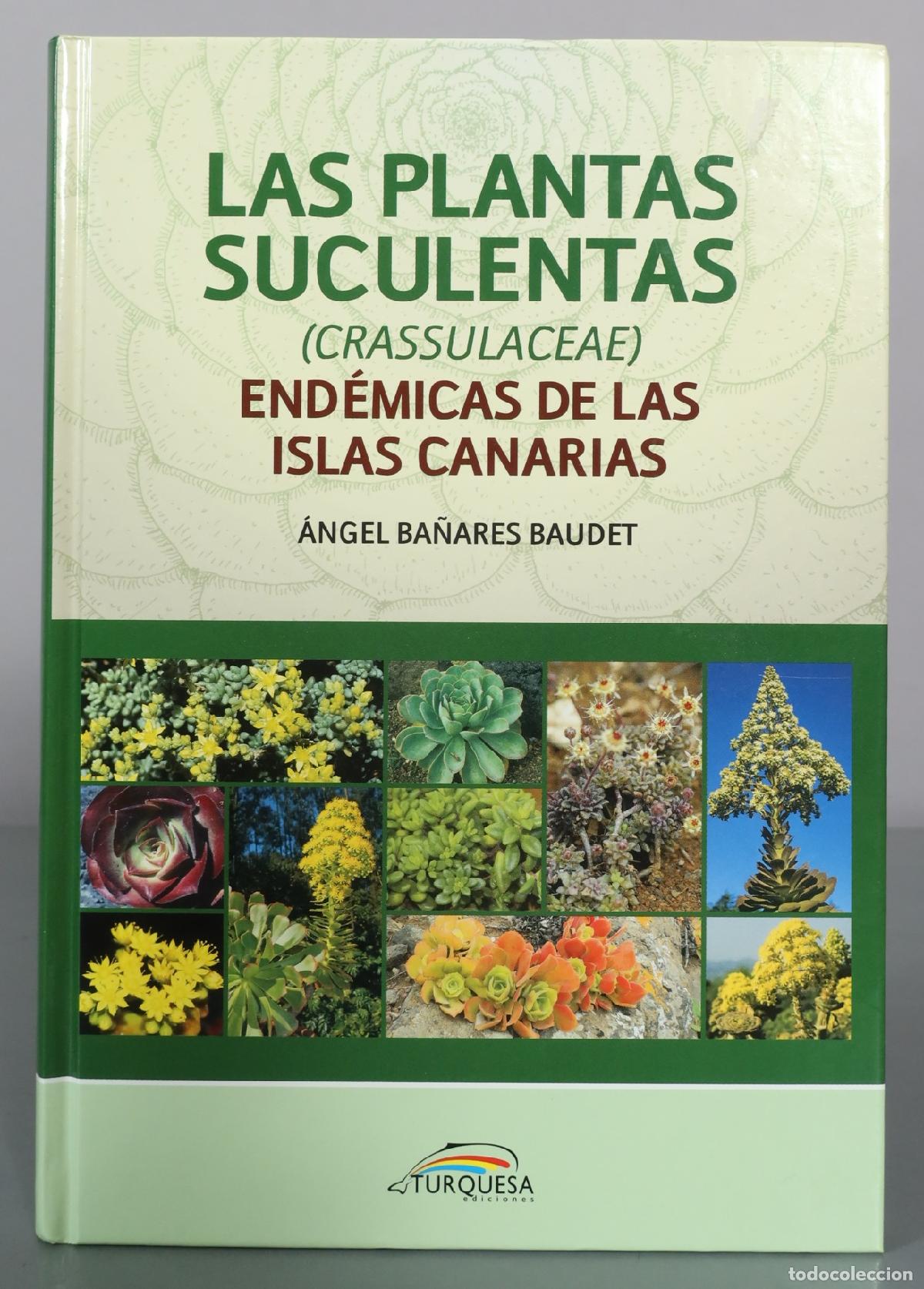 Libros de segunda mano: Las plantas suculentas (Crassulaceae) end&eacute;micas de las Islas Canarias - &Aacute;ngel Ba&ntilde;ares Baudet -