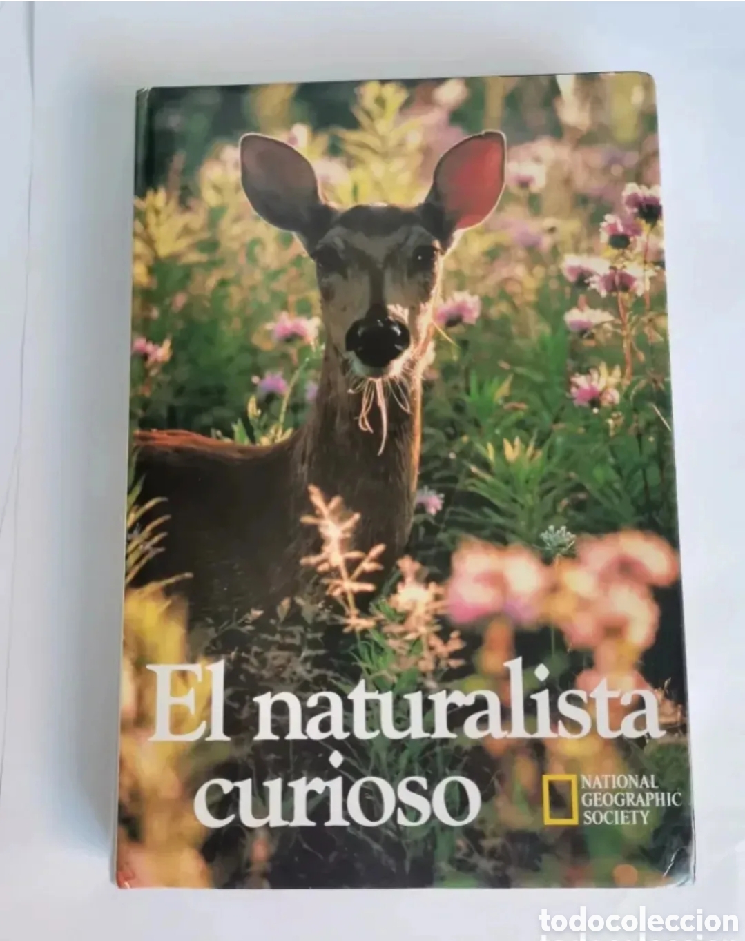 Libros de segunda mano: El naturalista curioso national geographic society