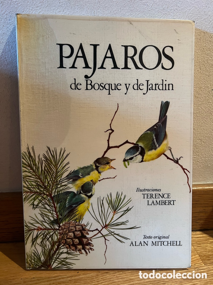 Libros de segunda mano: PAJAROS de Bosque y de Jardin Ilustraciones TERENCE LAMBERT