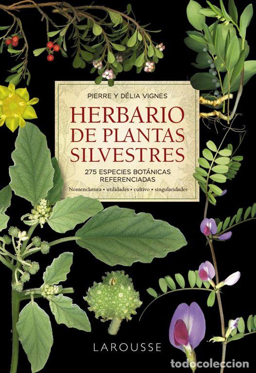 Libros de segunda mano: Herbario de plantas silvestres. - Vignes, Pierre.