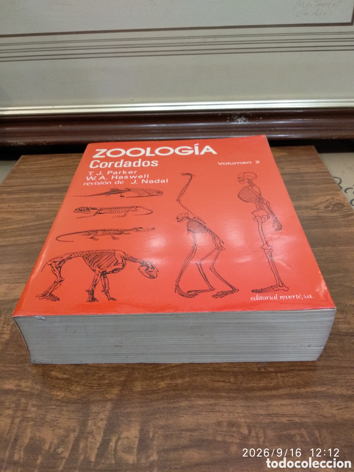 Libros de segunda mano: Zoolog&iacute;a (cordados vol. 2) - Foto 2