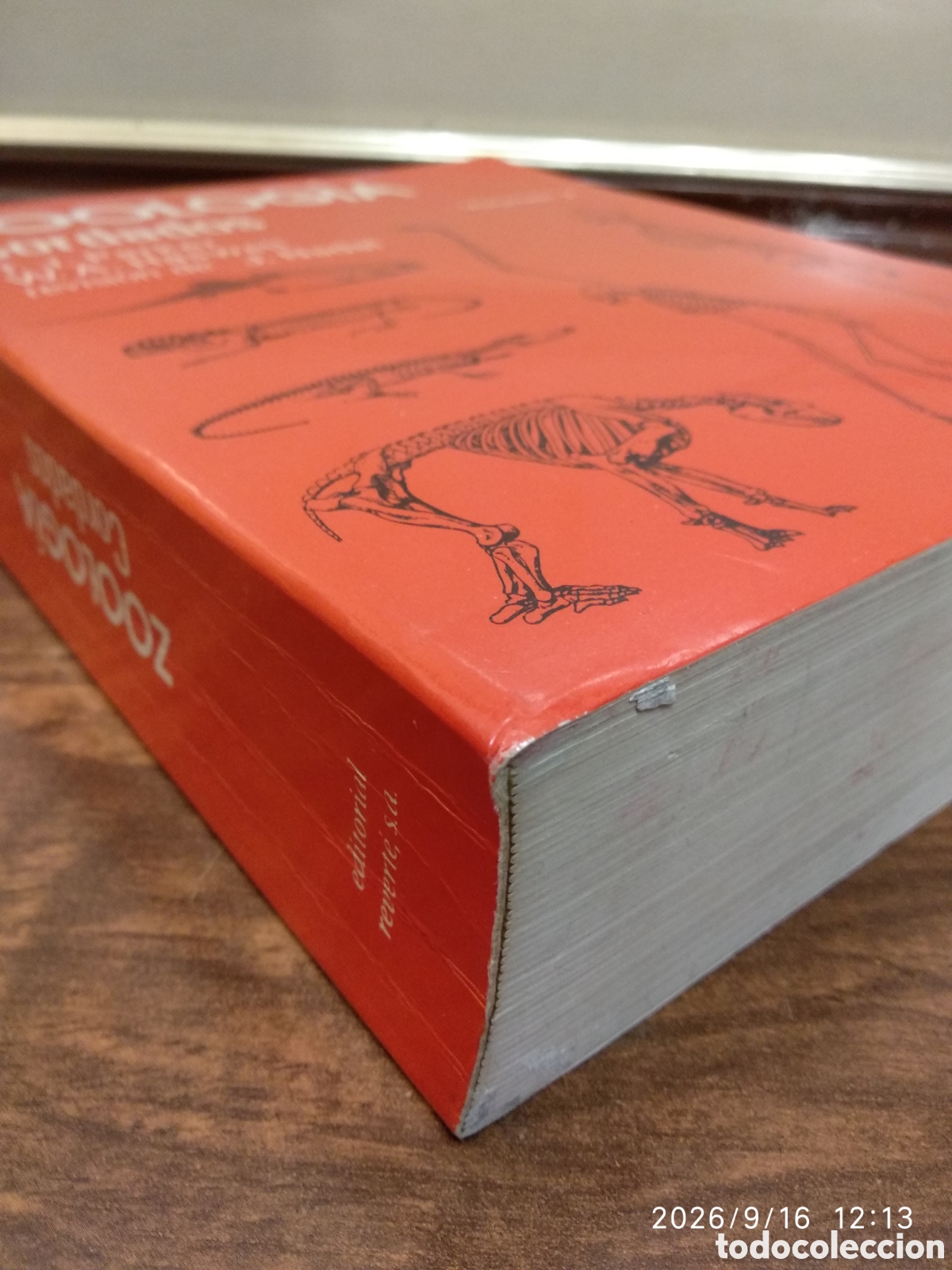 Libros de segunda mano: Zoolog&iacute;a (cordados vol. 2) - Foto 12