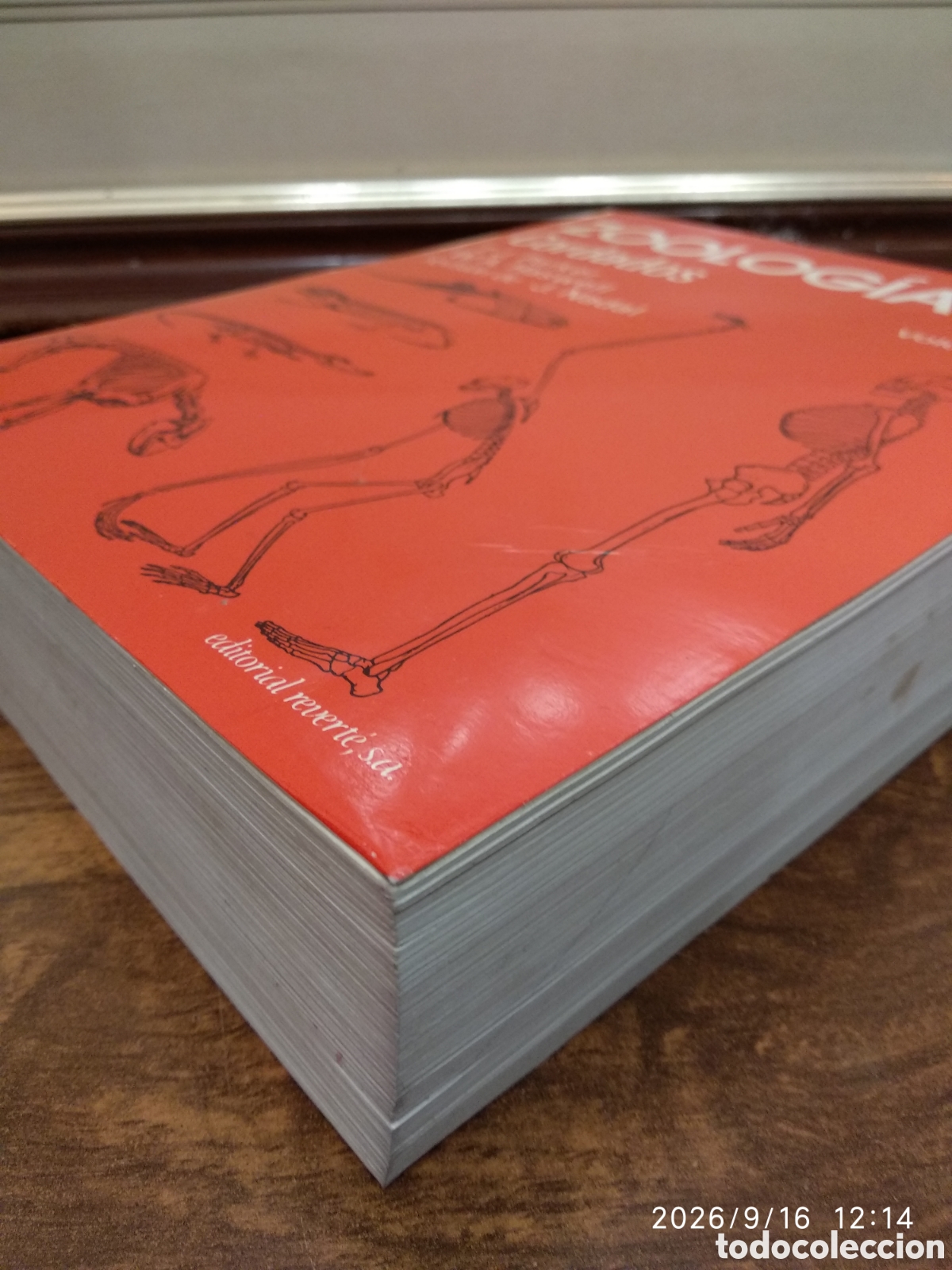 Libros de segunda mano: Zoolog&iacute;a (cordados vol. 2) - Foto 13