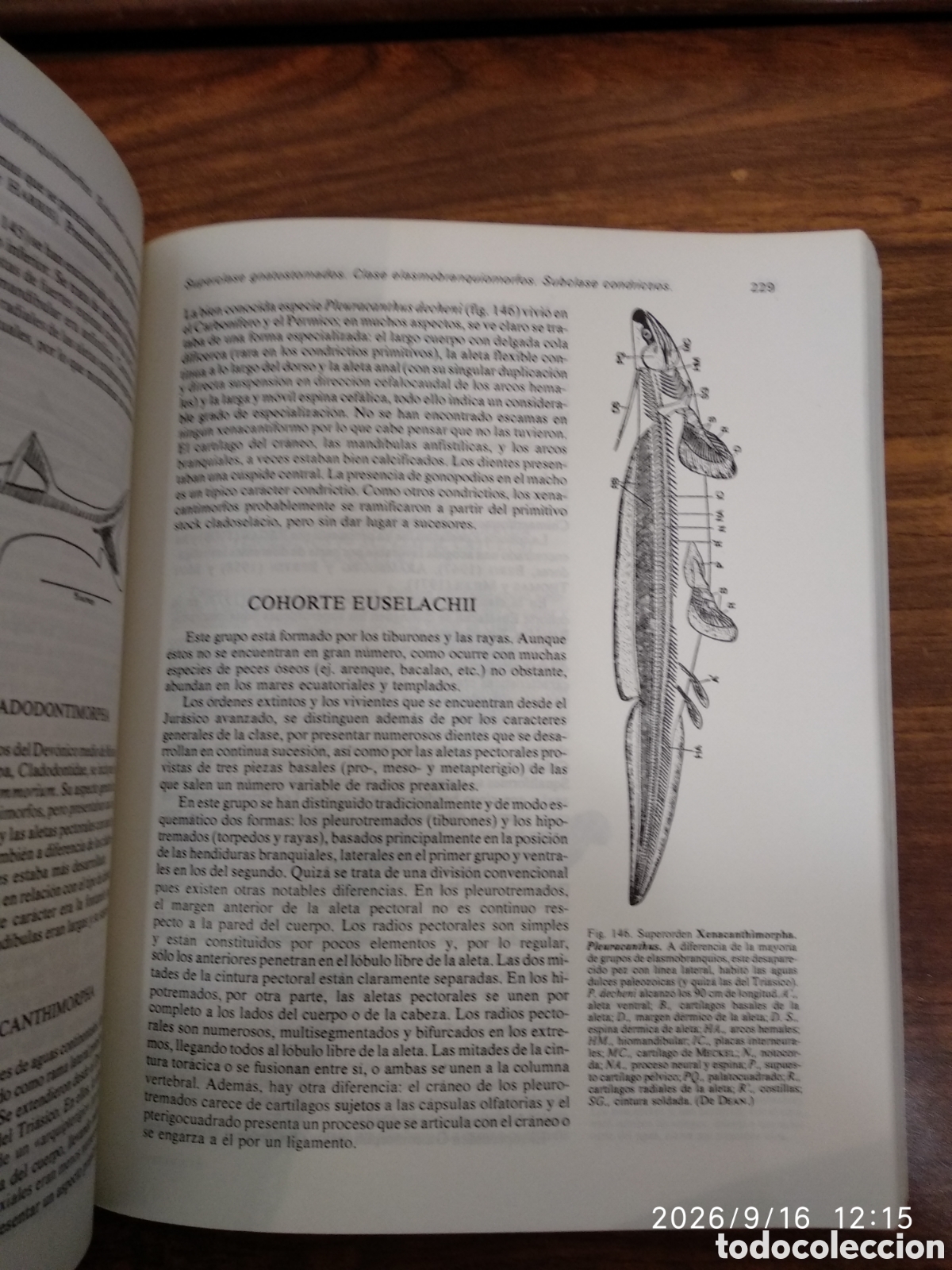 Libros de segunda mano: Zoolog&iacute;a (cordados vol. 2) - Foto 18