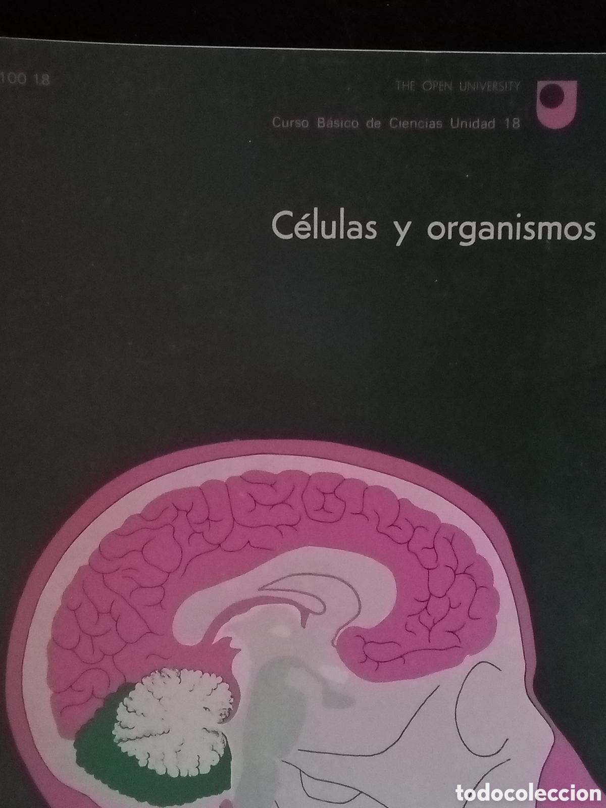 Gebrauchte B&uuml;cher der Wissenschaften: Curso Ɓ&aacute;sico de Ciencias Unidad 18. C&eacute;lulas y organismos