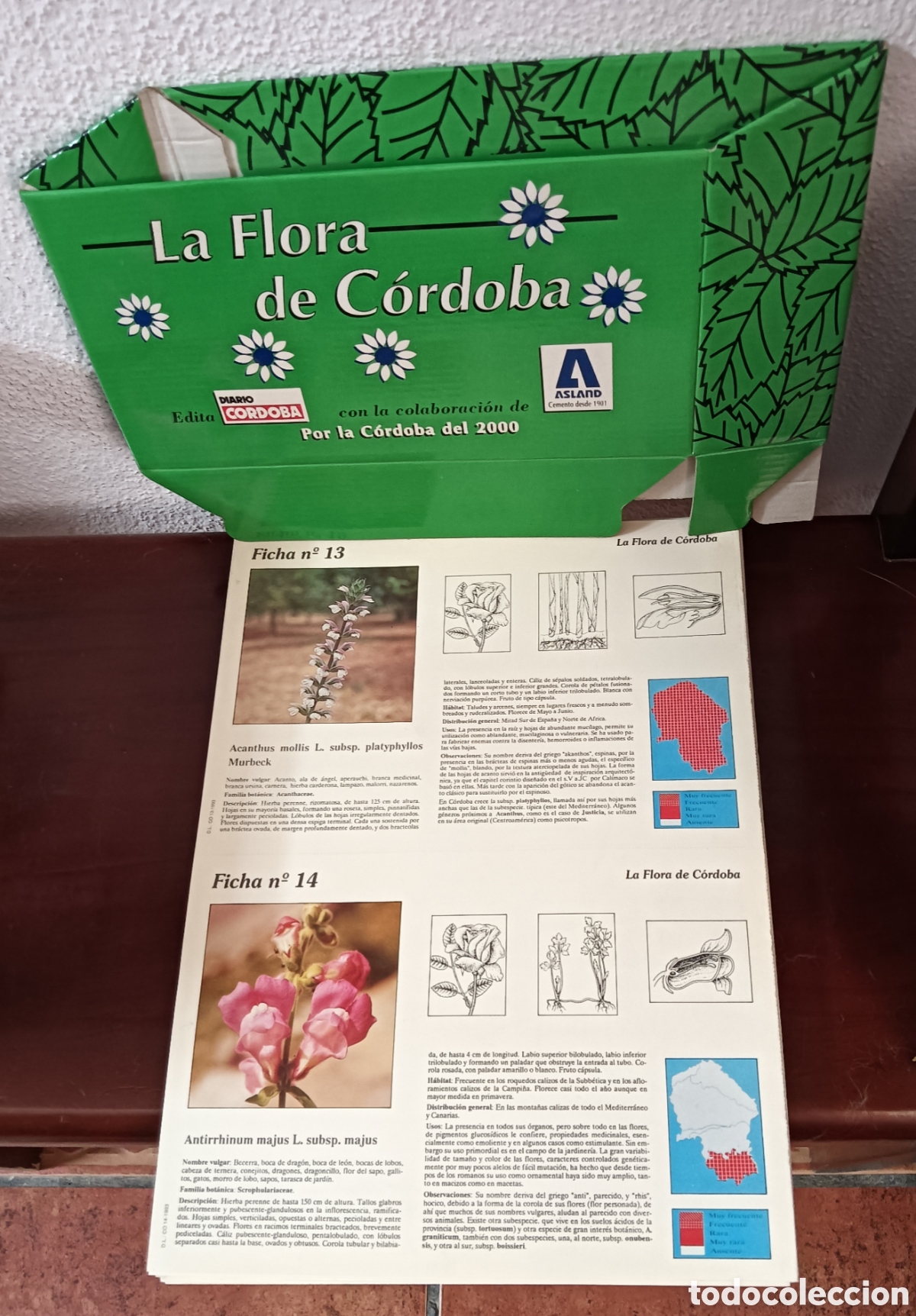 Libros de segunda mano: La Flora de C&oacute;rdoba. Fichas. - Foto 1