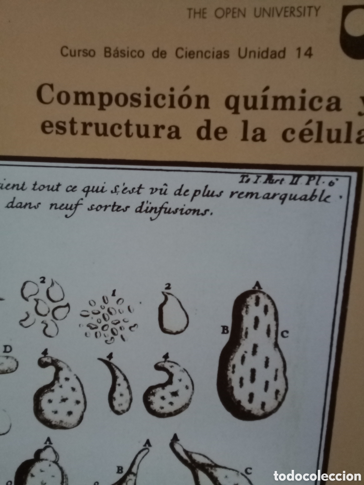 Gebrauchte B&uuml;cher der Wissenschaften: Curso B&aacute;sico de Ciencias Unidad 14. Composici&oacute;n qu&iacute;mica y estructura de la c&eacute;lula