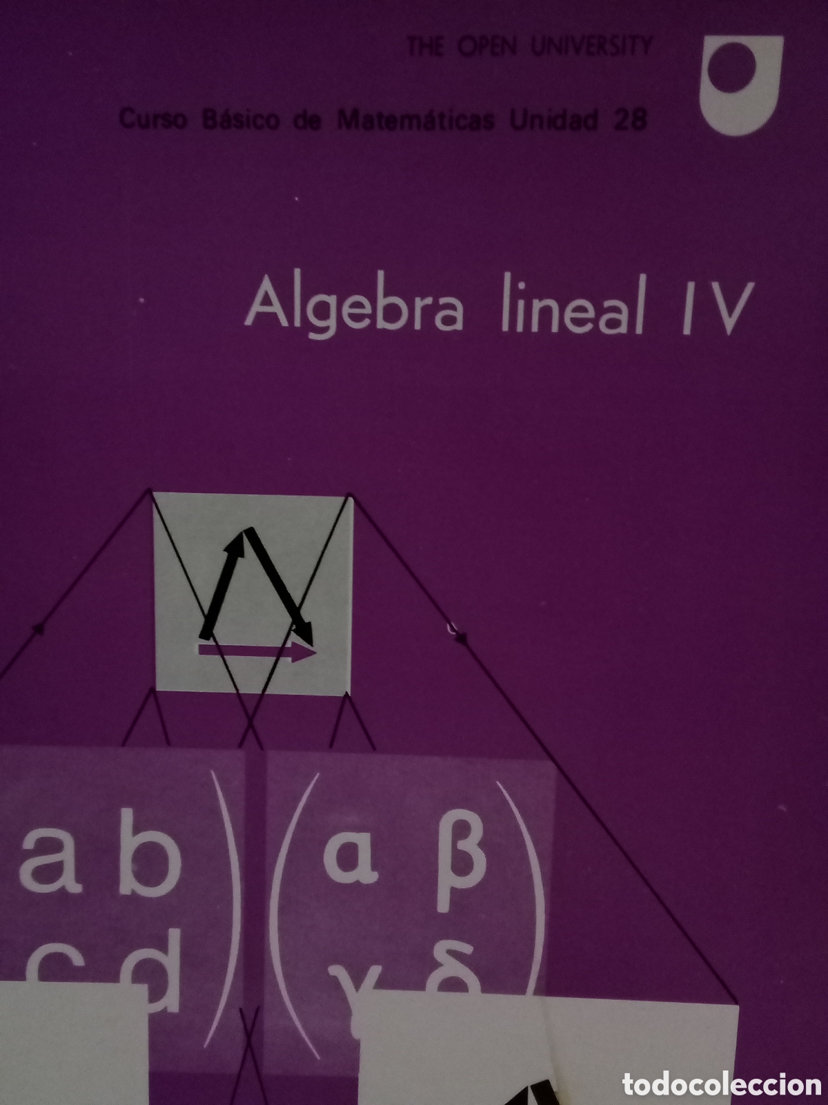 Libros de segunda mano de ciencias: Curso B&aacute;sico de Matem&aacute;ticas Unidad 28. &Aacute;lgebra lineal IV