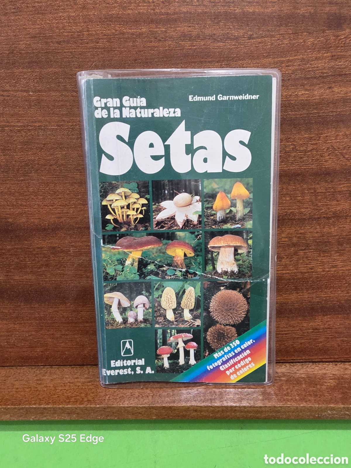 Libros de segunda mano: &rdquo;&rdquo;GRAN GU&Iacute;A DE LA NATURALEZA...SETAS &rdquo;&rdquo;...EDMUNDO GARNWEIDNER...E. EVEREST...2002...