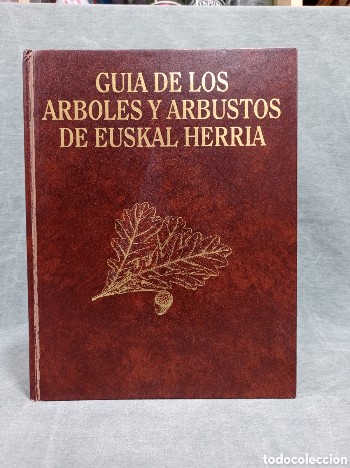 Libros de segunda mano: GU&Iacute;A DE LOS &Aacute;RBOLES Y ARBUSTOS DE EUSKAL HERRIA - SOCIEDAD DE CIENCIAS ARANZADI