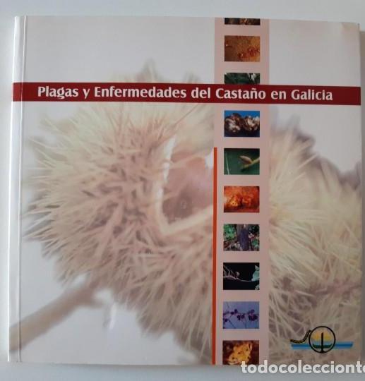 Libros de segunda mano: Plagas y enfermedades del casta&ntilde;o en Galicia / J.P. Mansilla V&aacute;zquez et al. Xunta de Galicia