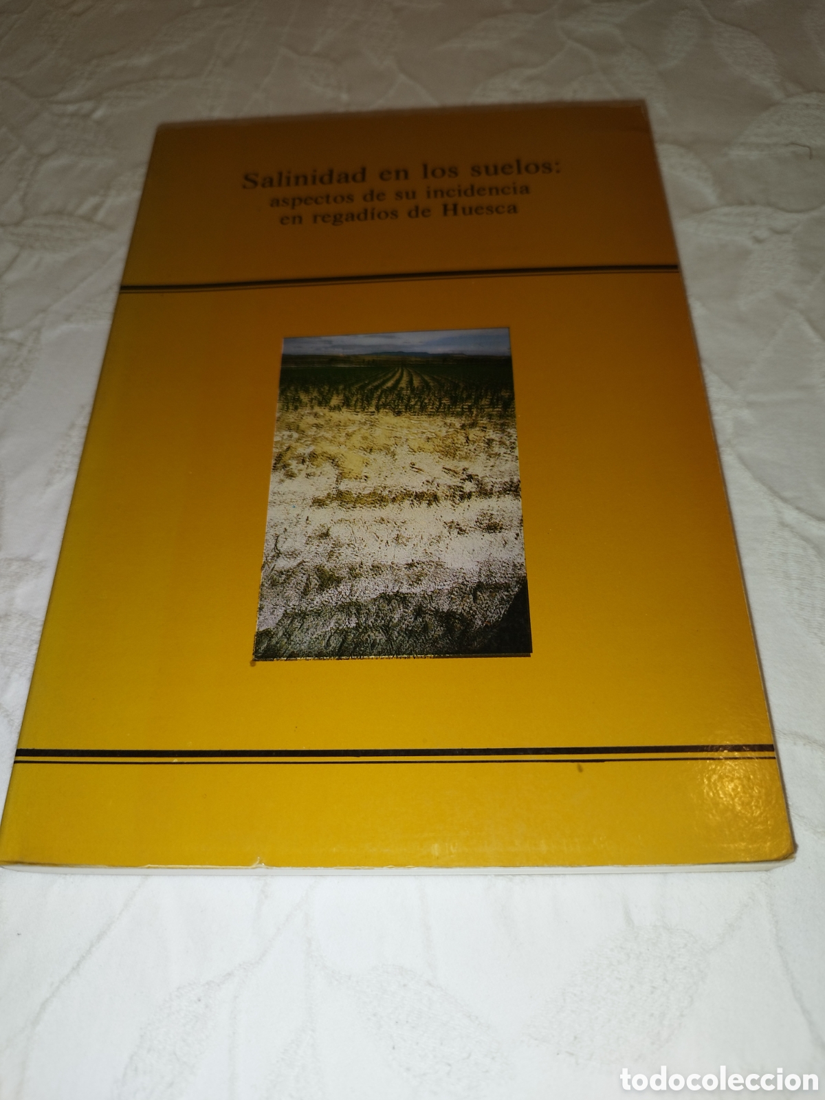 Libros de segunda mano: SALINIDAD EN LOS SUELOS: ASPECTOS DE SU INCIDENCIA EN REGADIOS DE HUESCA. ED. DGA, 1986. 1&ordf; ED.