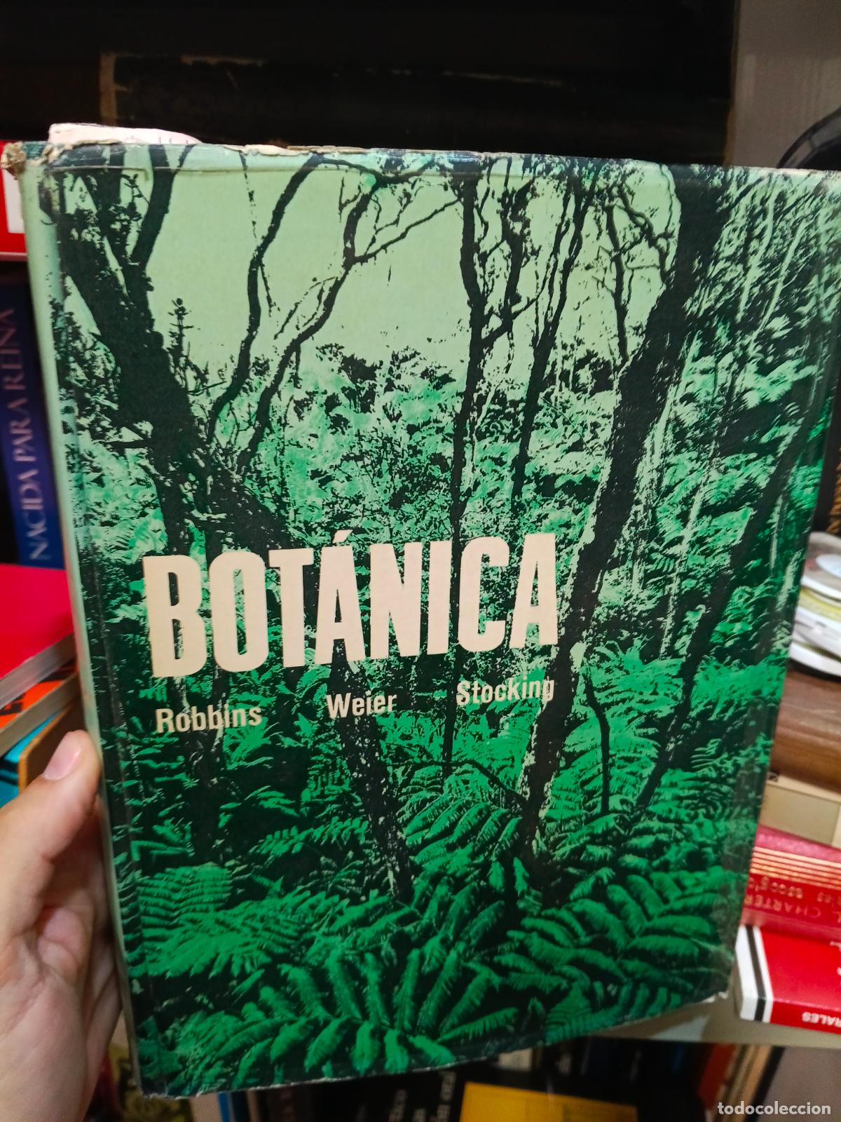 Libros de segunda mano: BOT&Aacute;NICA - WILFERD W. ROBBINS Weier