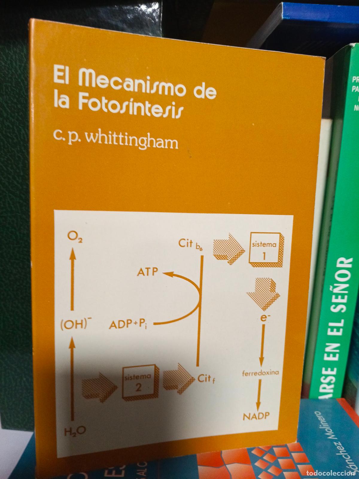 Libros de segunda mano: EL MECANISMO DE LA FOTOS&Iacute;NTESIS. C.P. WHITTINGHAM