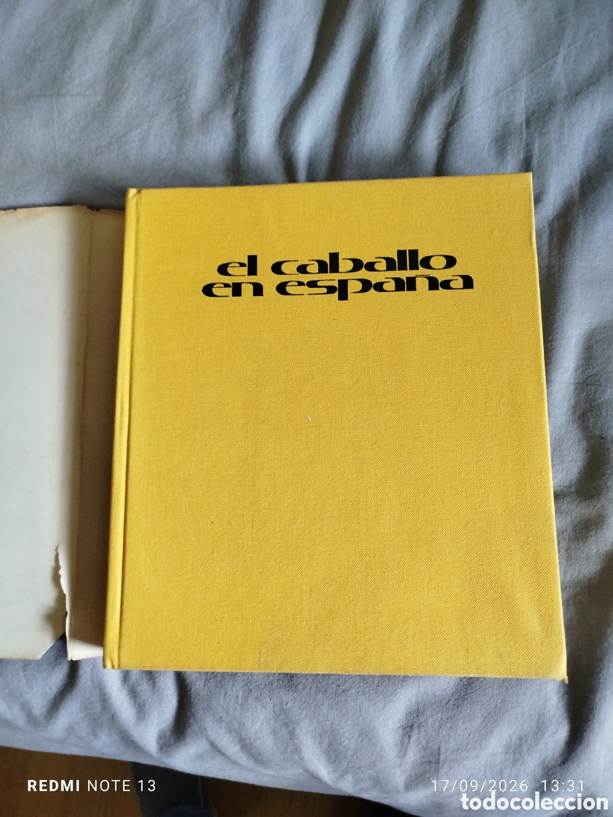 Libros de segunda mano: El caballo en Espa&ntilde;a 1975 - Foto 3