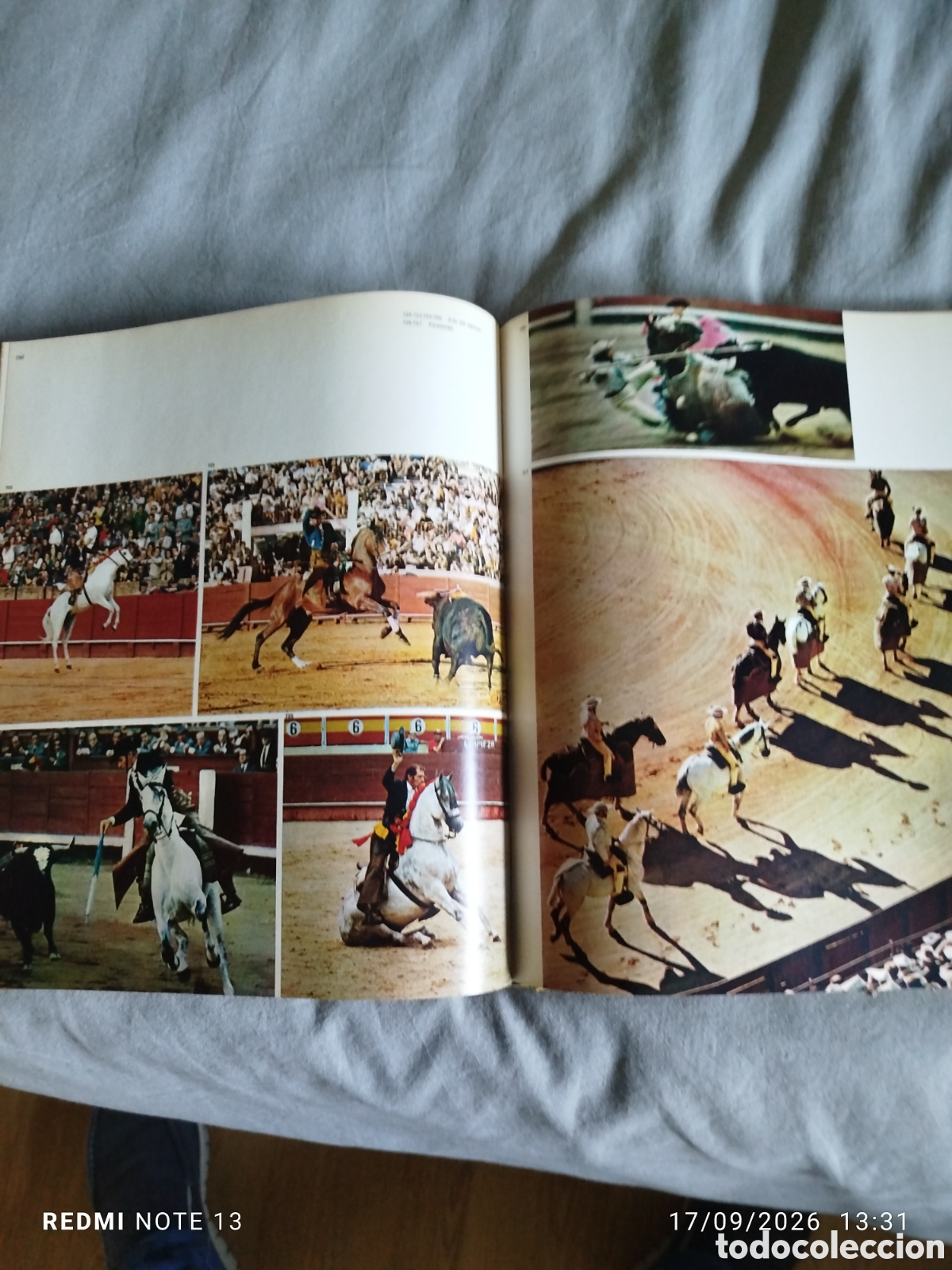 Libros de segunda mano: El caballo en Espa&ntilde;a 1975 - Foto 5