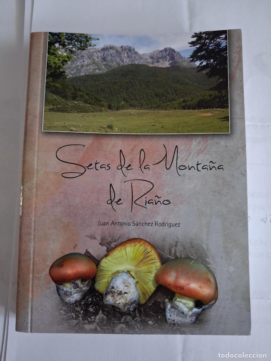 Libros de segunda mano: SETAS DE LA MONTA&Ntilde;A DE RIA&Ntilde;O- JUAN ANTONIO SANCHEZ RODRIGUEZ (2013) LEON MICOLOGIA