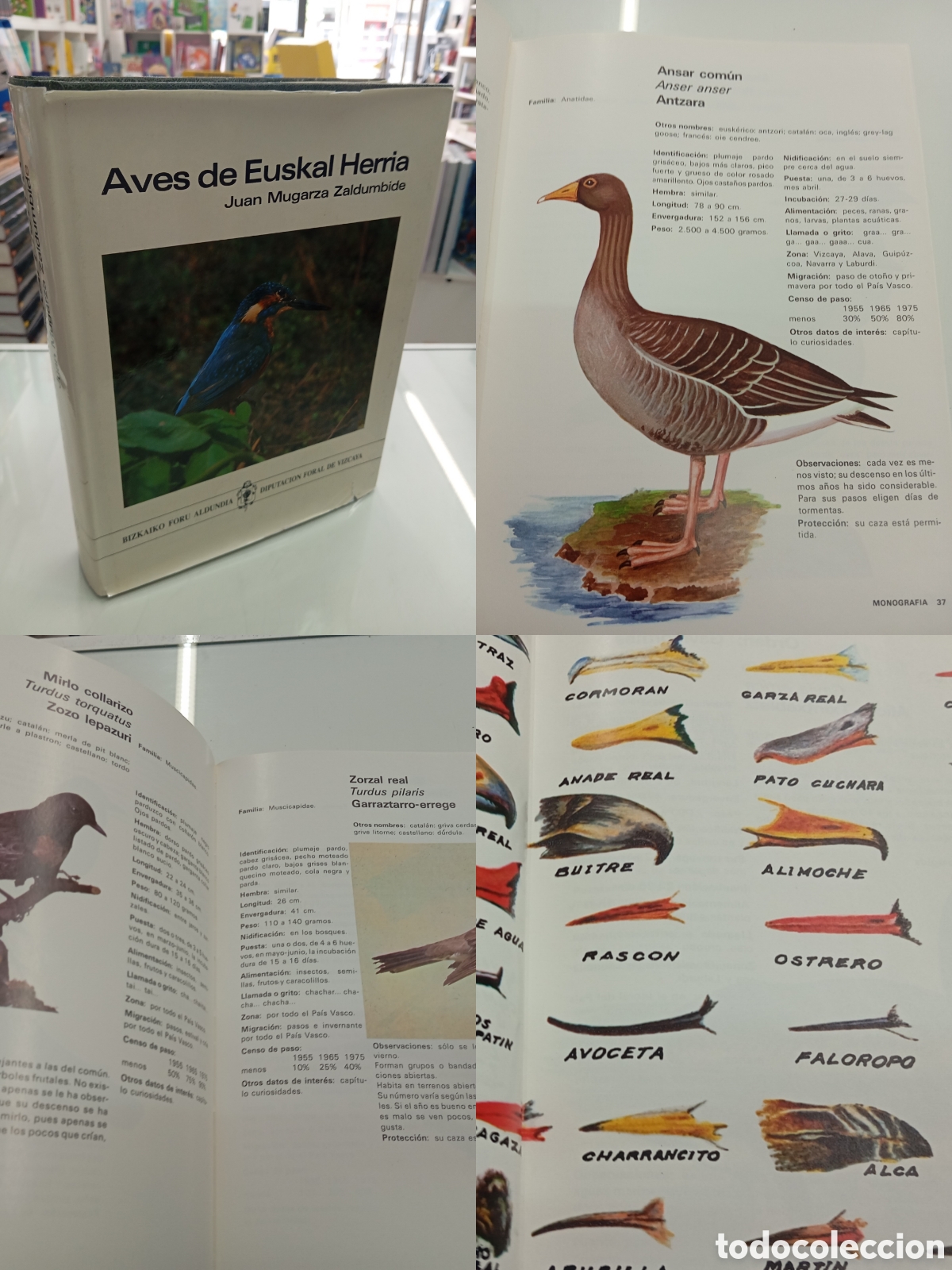 Libros de segunda mano: AVES DE EUSKAL HERRIA JUAN MUGARZA PAIS VASCO MAPAS Y DIBUJOS VIZCAYA ORNITOLOGIA
