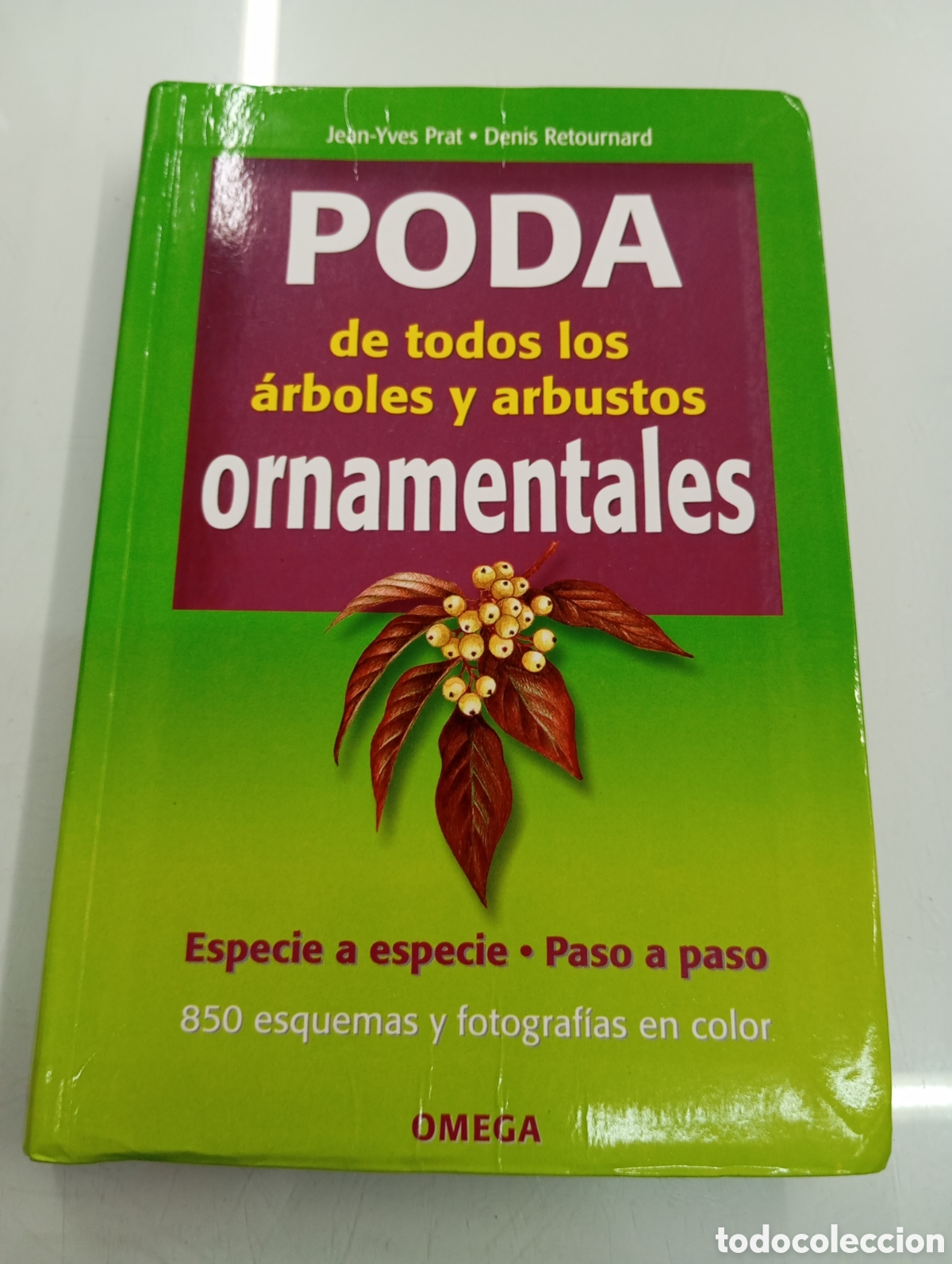 Libros de segunda mano: PODA DE &Aacute;RBOLES Y ARBUSTOS ORNAMENTALES - Prat, Jean Yves. Retournard, D. OMEGA