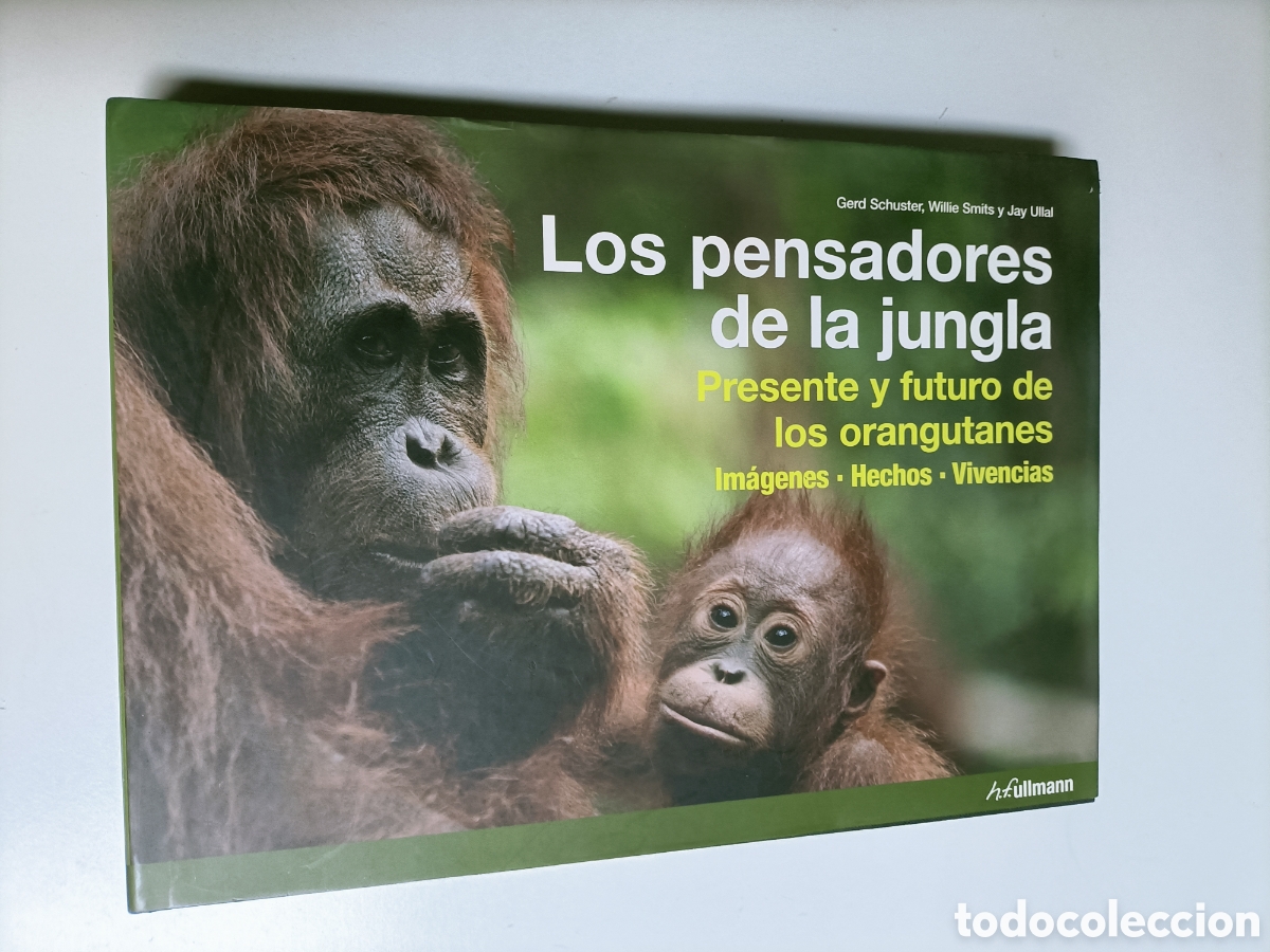 Libros de segunda mano: Los pensadores de la jungla. Presente y futuro de los orangutanes. Im&aacute;genes hechos vivencias