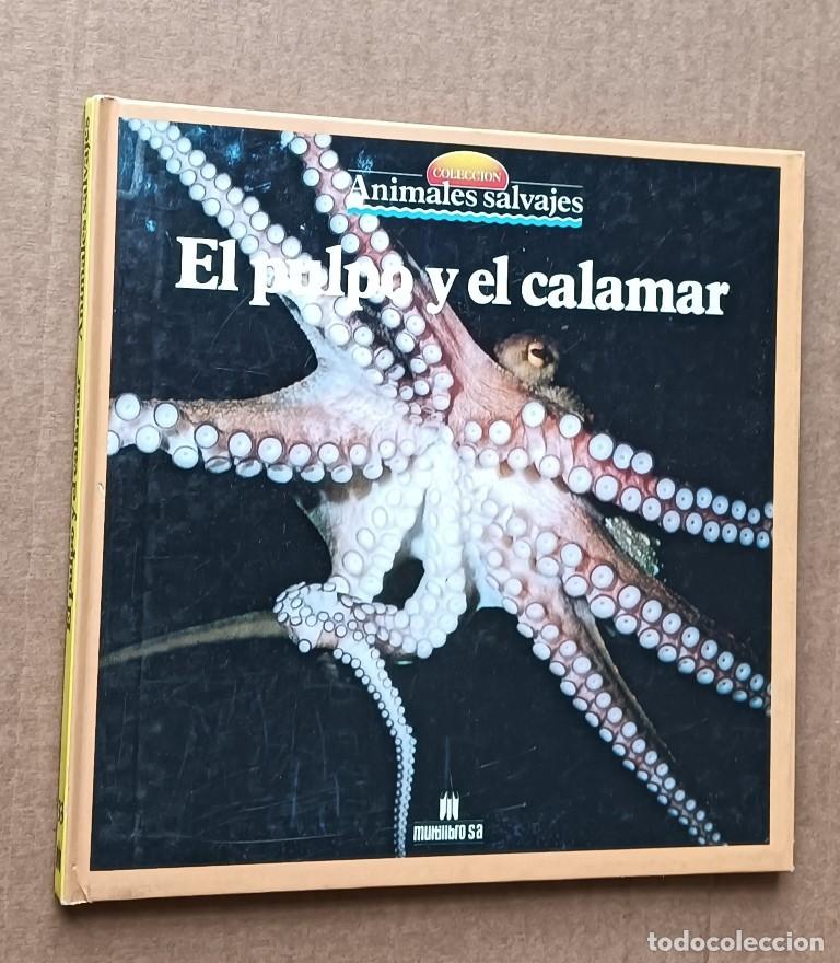 Libros de segunda mano: EL PULPO Y EL CALAMAR - Colecci&oacute;n animales salvajes - Miltilibro 1989